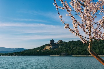 颐和园-桃花盛开时~