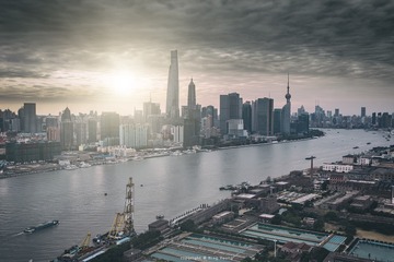乌云下的魔都城市森林~