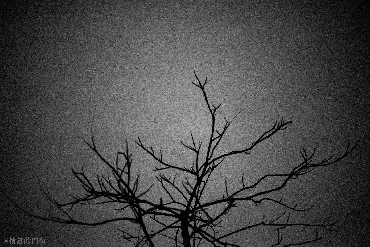 街头夜景摄影黑白文艺