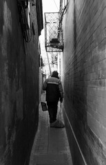 _DSC4394