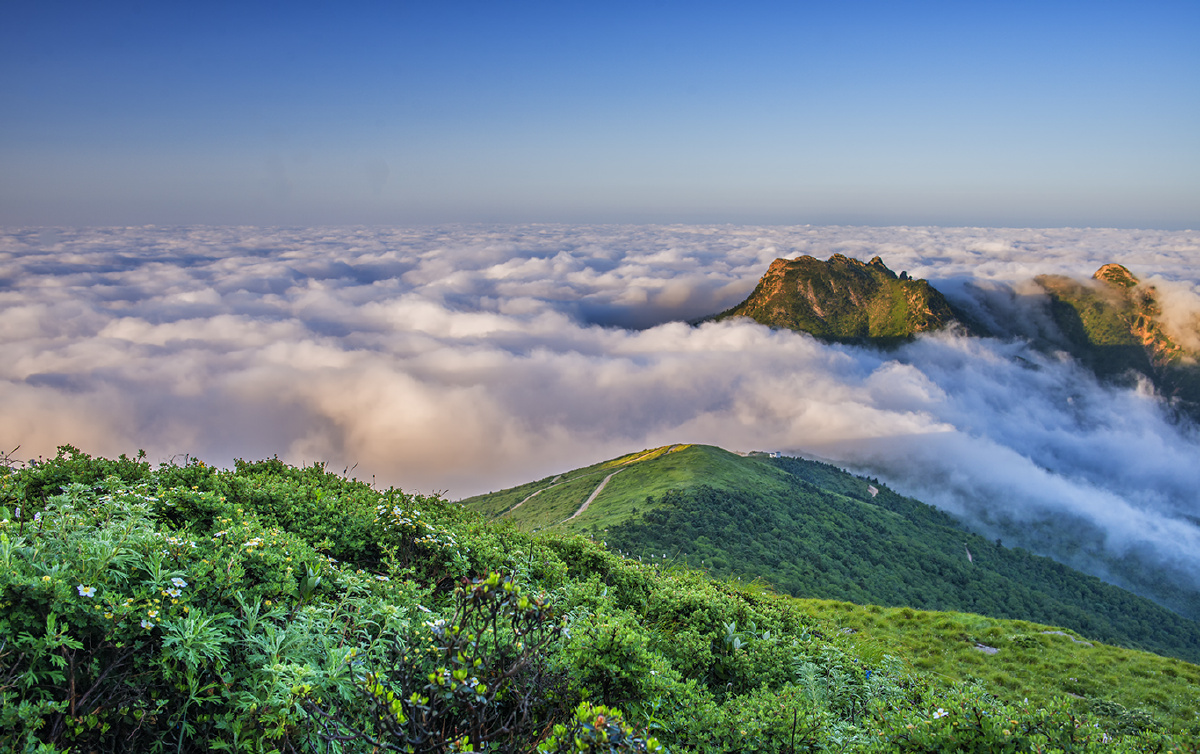 秦岭云海 - 山水大桓