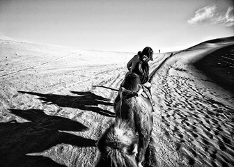 3_snap_shot vhnsj