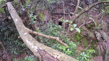 GOPR0439-01