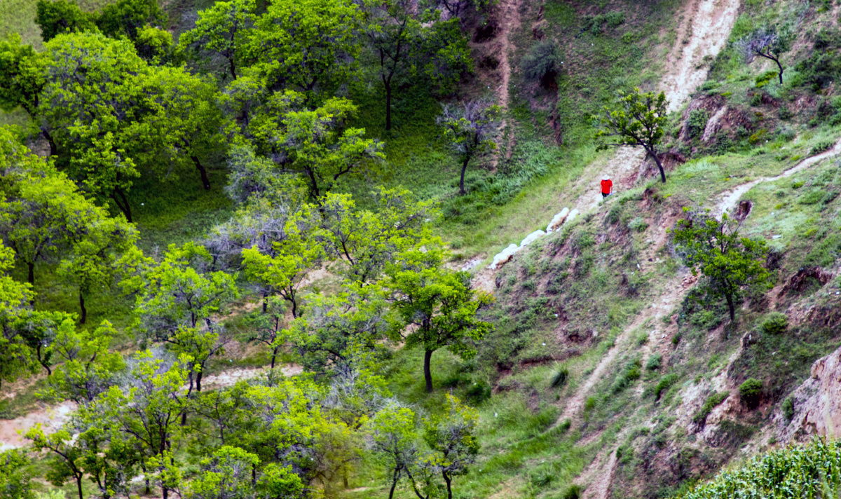 胡麻岭(兰渝铁路施工最难的地方) - 唯美视界