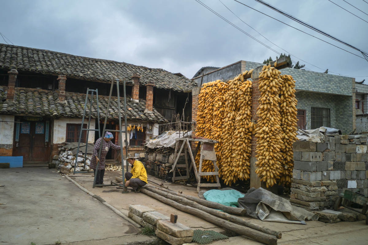 2020年10月8日拍摄于云南省曲靖市沾益区白水镇.
