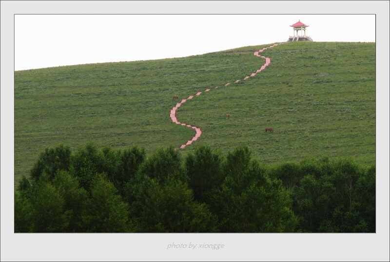 通往山顶的小路<br />

