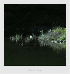 夏日余辉下的钓者