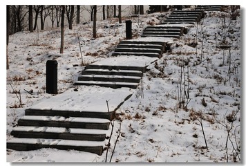 2009年2月19日雪后印象6