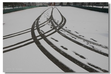2009年2月19日雪后印象1