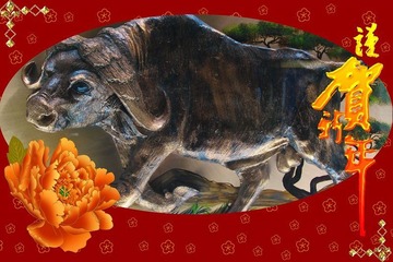 祝BBB曁诸位影友牛年牛气冲天！
