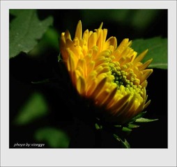 IMG_0996