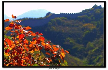 长城秋歌2