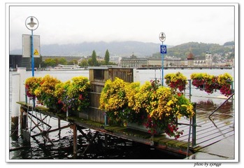 鲜花码头