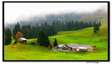 阿尔卑斯山高山牧场2