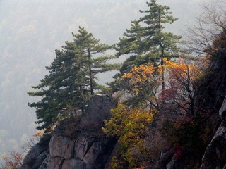 IMG_3176a