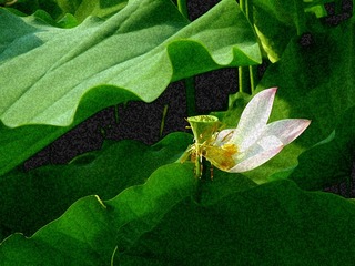 残荷