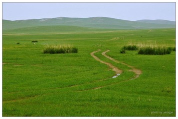 草原路