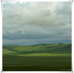 1LX_0806.jpg