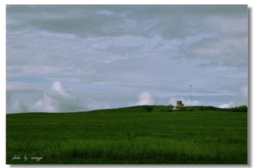1LX_0847.jpg