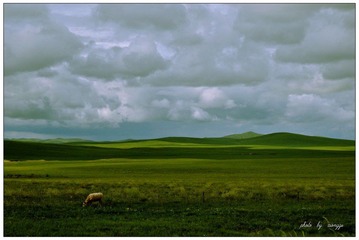 1LX_0875.jpg