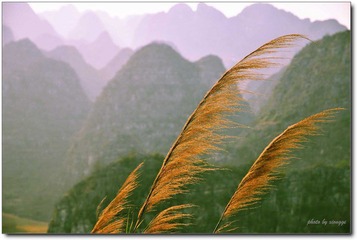 万峰林