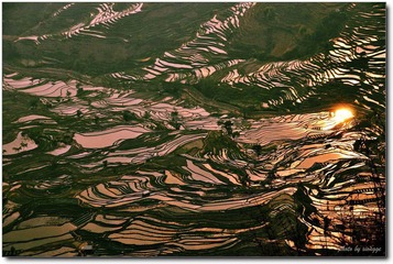 梯田1