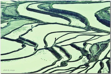 梯田5--花镜