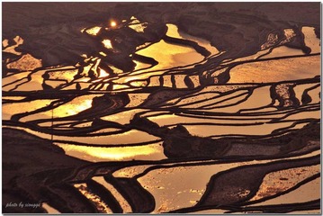 梯田7