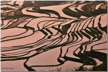 梯田8