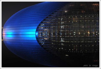 鸟蛋夜色