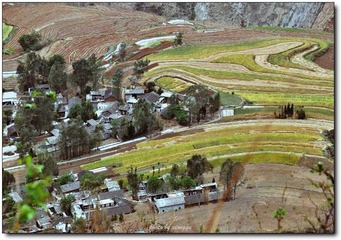 高原村寨