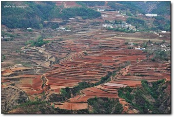 高原梯田