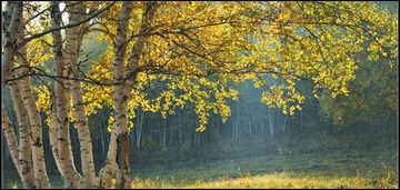 2LX_4595_