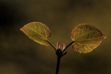_DSC7363-1-1