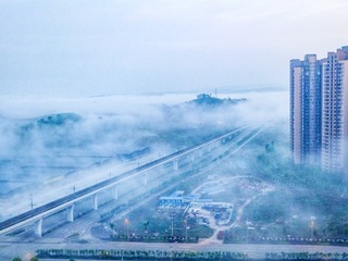 2910554