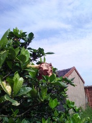 IMG_20150705_092649