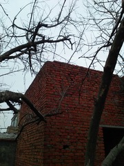 IMG_20160312_164140