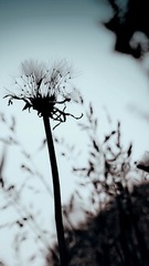 IMG_20160525_124152-1-01