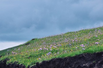DSC_1197-