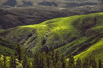 DSC_1261-