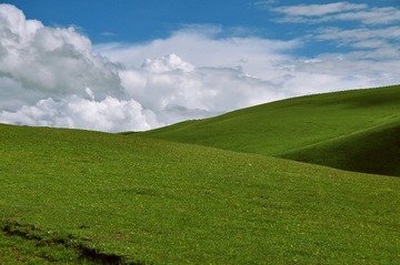 DSC_1455-