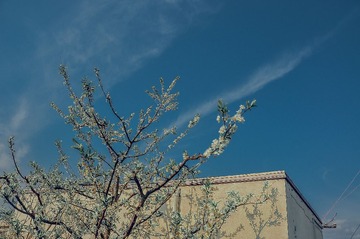 DSC_8357-