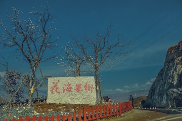 DSC_8343-