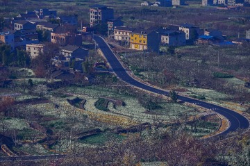 DSC_8312-