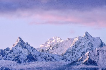 DSC_1633-