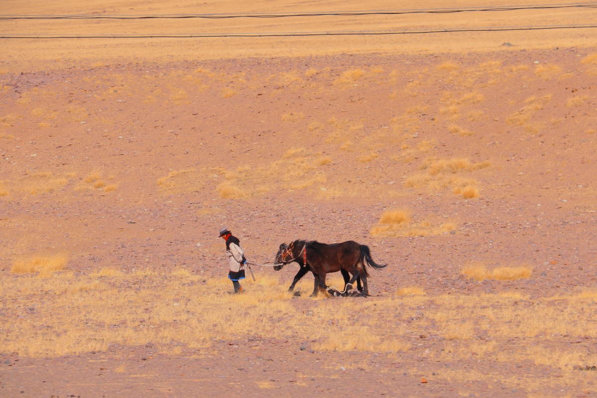 一人一马 浪迹天涯 (那个放牧的藏族男人)
