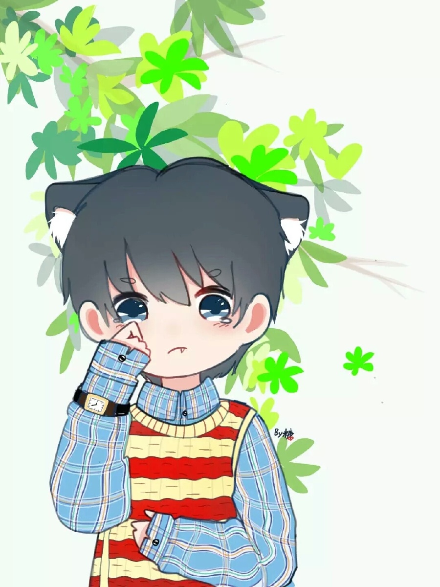 宝藏男孩王晨艺