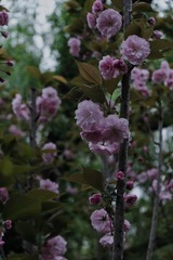 1977E774-2819-42D0-BDEE-A478C1C4D7C9/L0/001