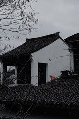 D921B089-71A3-487F-9395-97BA53E89188/L0/001