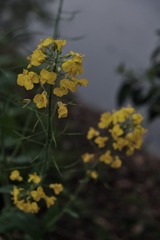 48E10F08-70EF-493B-B2AB-9750094D55ED/L0/001